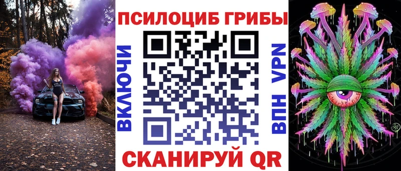 Псилоцибиновые грибы Psilocybe  Нолинск 